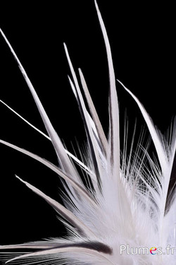 Héron - 13-16 cm - blanc-crème-gris naturel